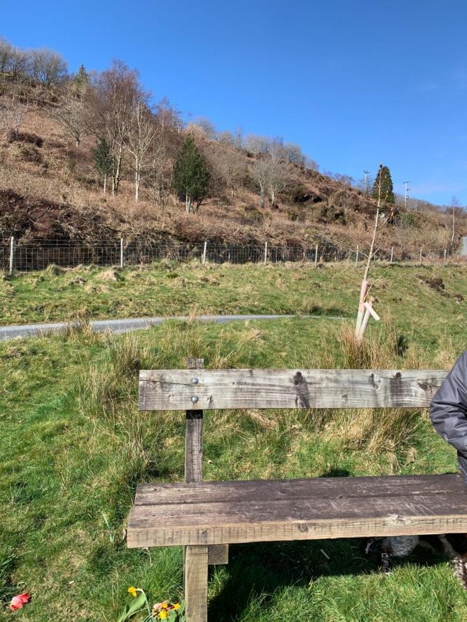 Snowdonia Rock Cottage - Cosy And Pet Friendly Penrhyndeudreath Екстериор снимка
